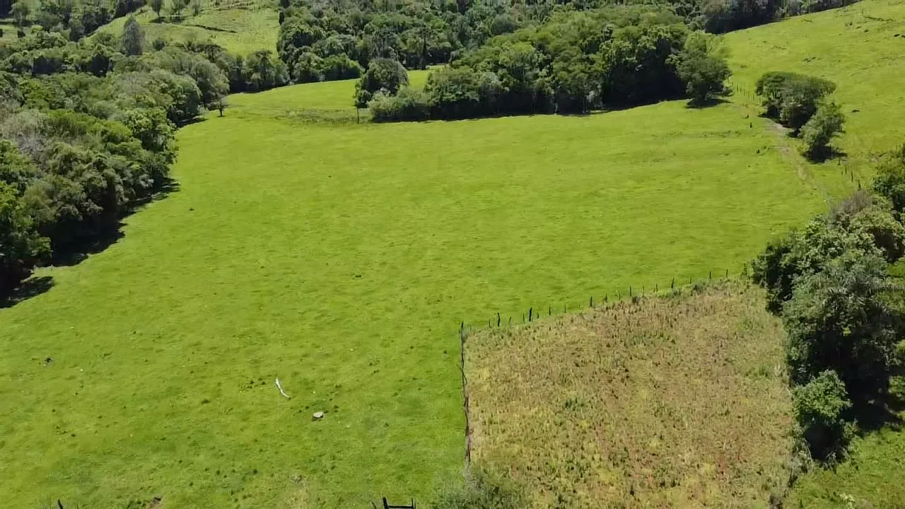 Fazenda à venda de 235 ha em Ampére, PR, Brasil