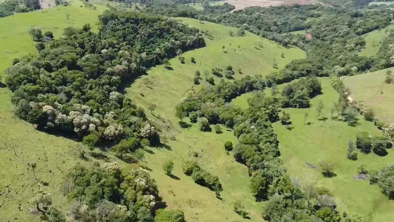 Fazenda à venda de 235 ha em Ampére, PR, Brasil