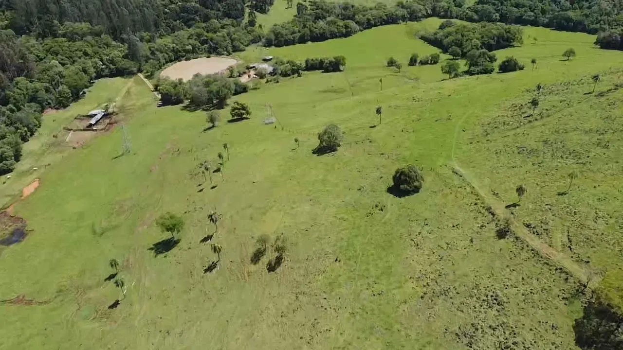 Fazenda à venda de 235 ha em Ampére, PR, Brasil