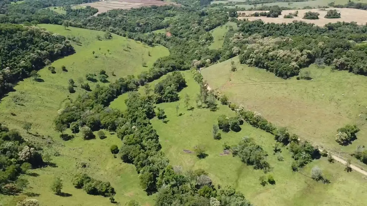 Fazenda à venda de 235 ha em Ampére, PR, Brasil