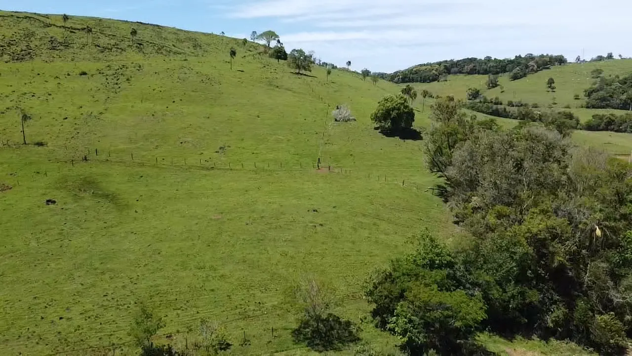 Fazenda à venda de 235 ha em Ampére, PR, Brasil