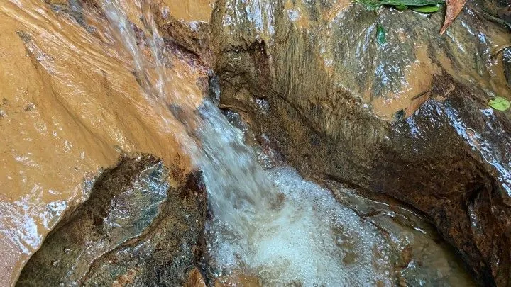 Chácara à venda de 3.900 m² em Parobé, RS, Brasil