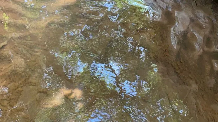 Chácara à venda de 3.900 m² em Parobé, RS, Brasil
