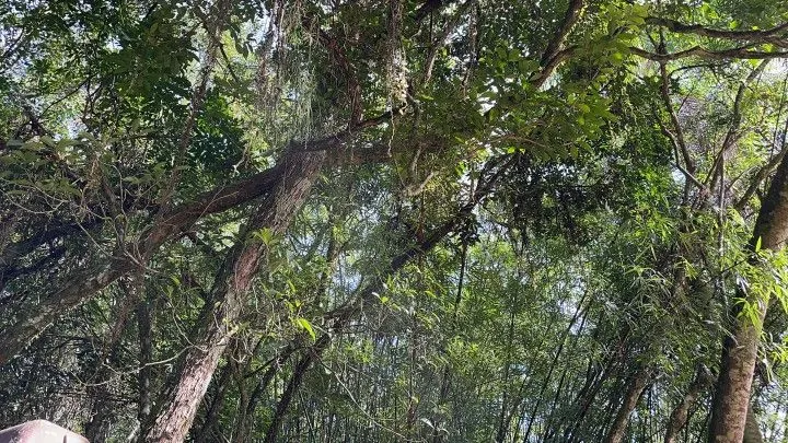Chácara à venda de 3.900 m² em Parobé, RS, Brasil