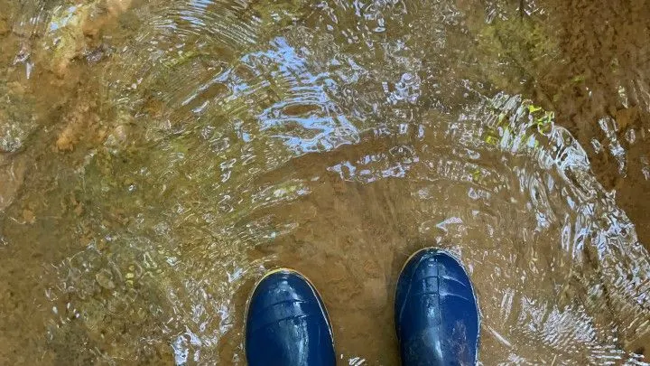 Chácara à venda de 3.900 m² em Parobé, RS, Brasil
