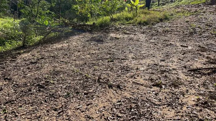 Chácara à venda de 3.900 m² em Parobé, RS, Brasil