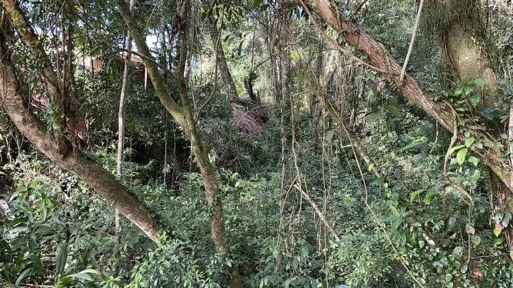 Chácara à venda de 3.900 m² em Parobé, RS, Brasil