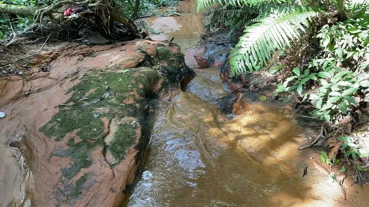 Chácara à venda de 3.900 m² em Parobé, RS, Brasil