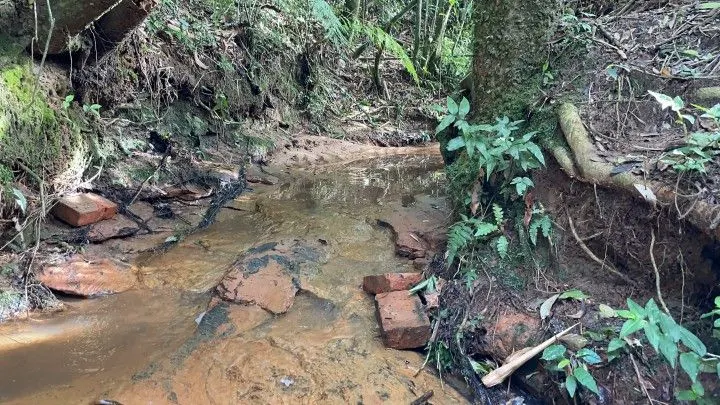 Chácara à venda de 3.900 m² em Parobé, RS, Brasil