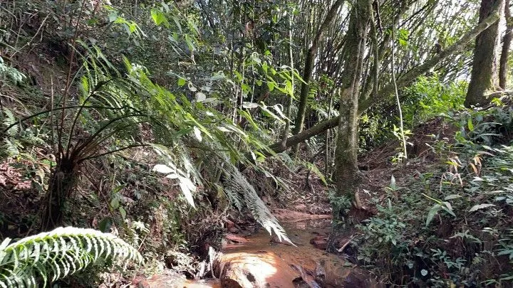Chácara à venda de 3.900 m² em Parobé, RS, Brasil