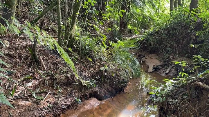 Chácara à venda de 3.900 m² em Parobé, RS, Brasil