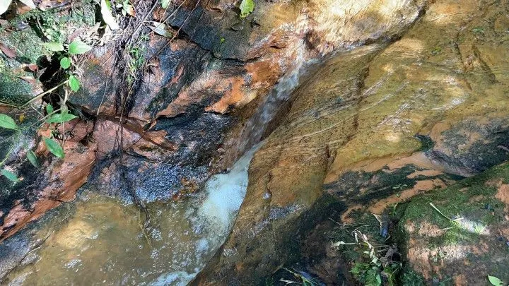Chácara à venda de 3.900 m² em Parobé, RS, Brasil