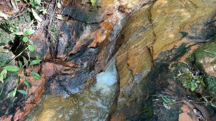 Chácara à venda de 3.900 m² em Parobé, RS, Brasil