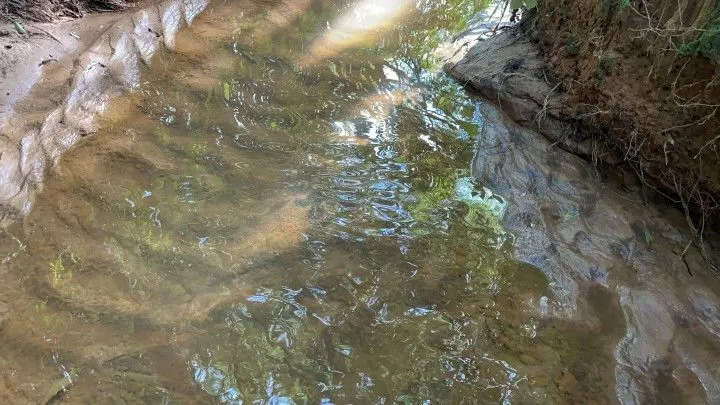 Chácara à venda de 3.900 m² em Parobé, RS, Brasil