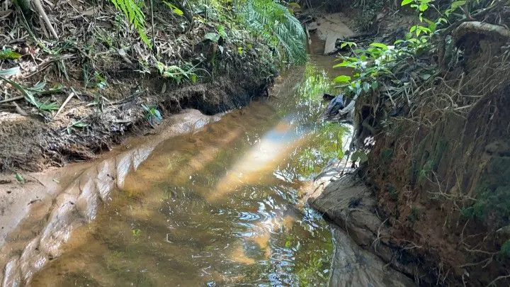 Chácara à venda de 3.900 m² em Parobé, RS, Brasil