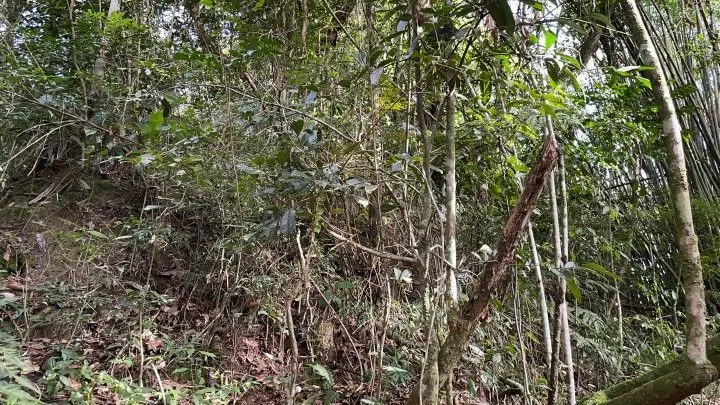 Chácara à venda de 3.900 m² em Parobé, RS, Brasil