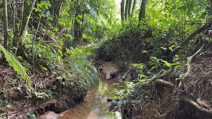 Chácara à venda de 3.900 m² em Parobé, RS, Brasil