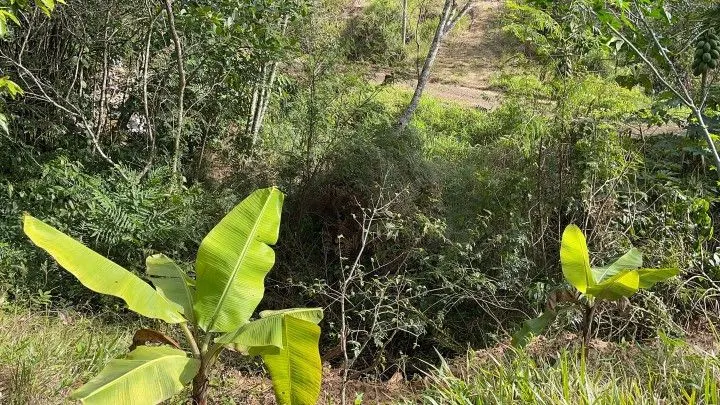 Chácara à venda de 3.900 m² em Parobé, RS, Brasil