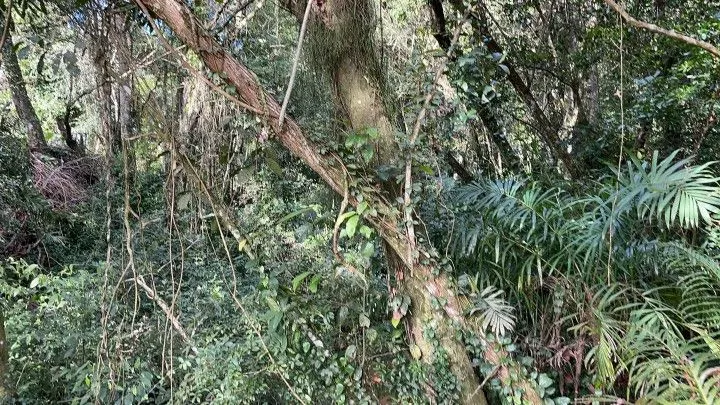 Chácara à venda de 3.900 m² em Parobé, RS, Brasil