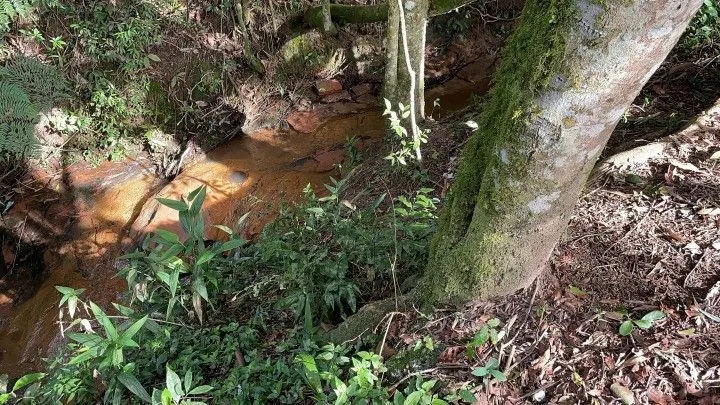 Chácara à venda de 3.900 m² em Parobé, RS, Brasil