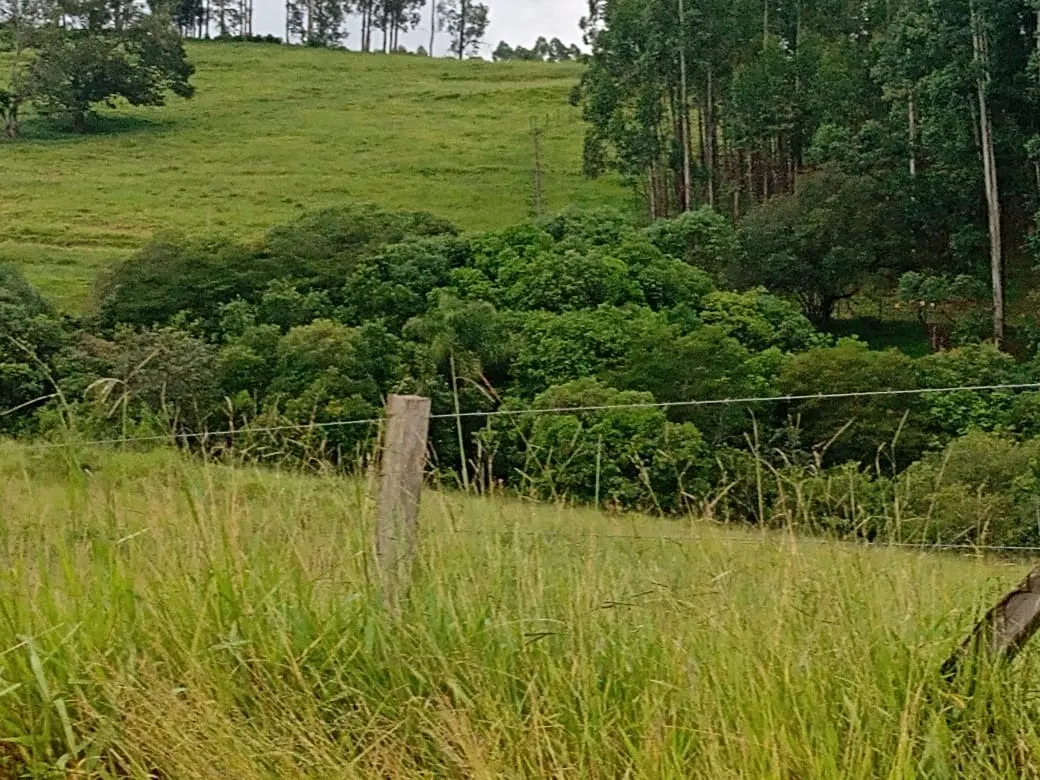 Sítio à venda de 61 ha em Capão Bonito, SP, Brasil