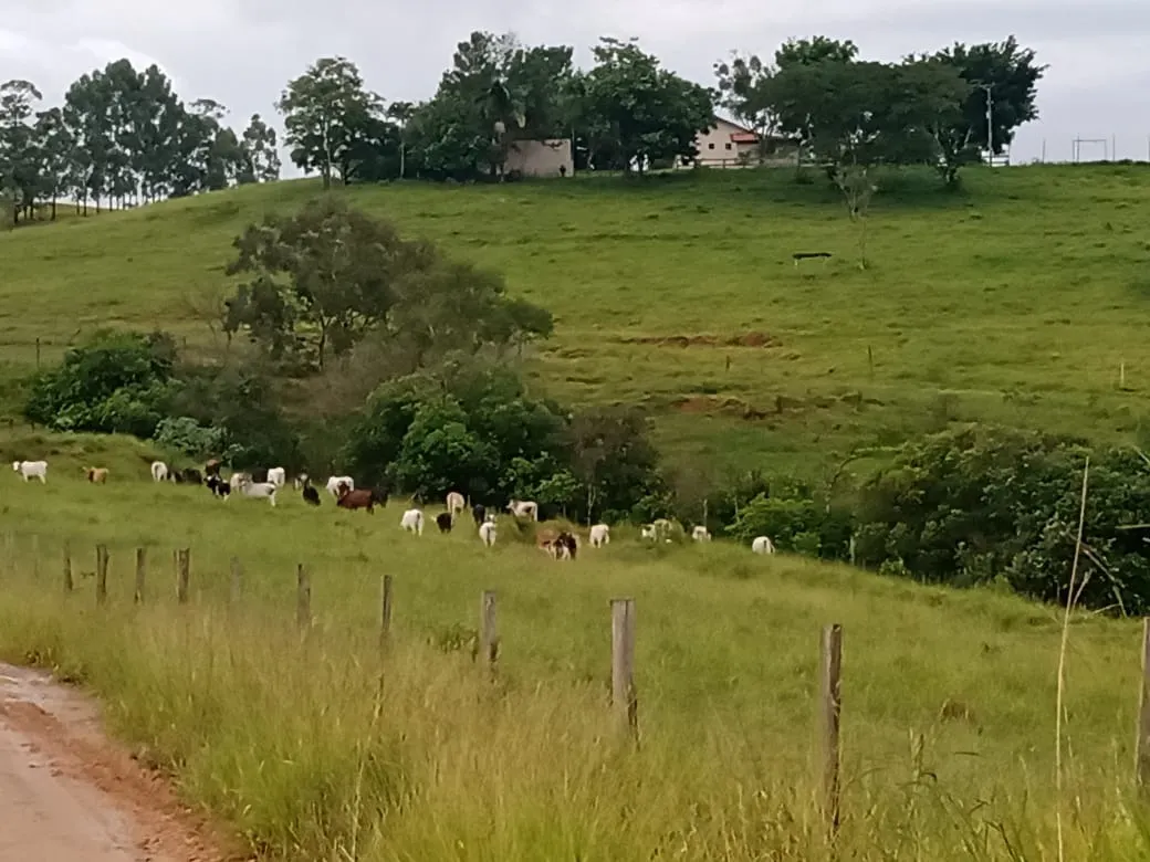 Sítio à venda de 61 ha em Capão Bonito, SP, Brasil