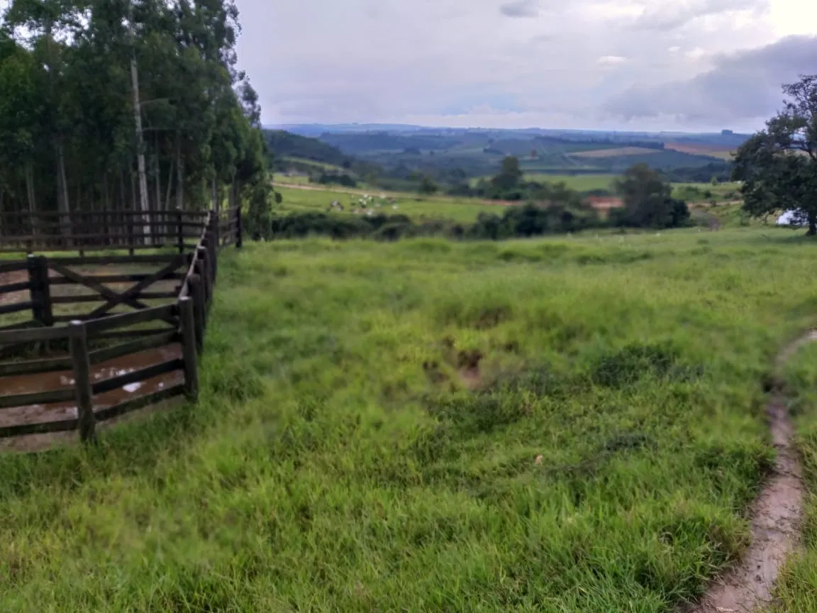 Sítio à venda de 61 ha em Capão Bonito, SP, Brasil