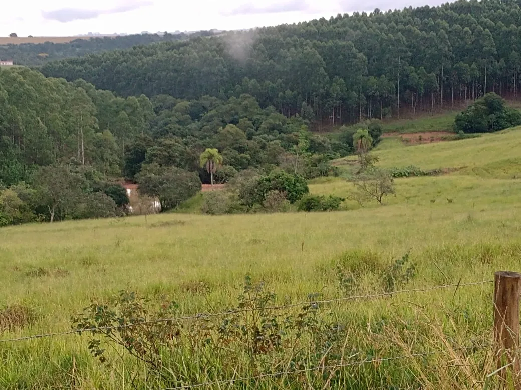 Sítio à venda de 61 ha em Capão Bonito, SP, Brasil
