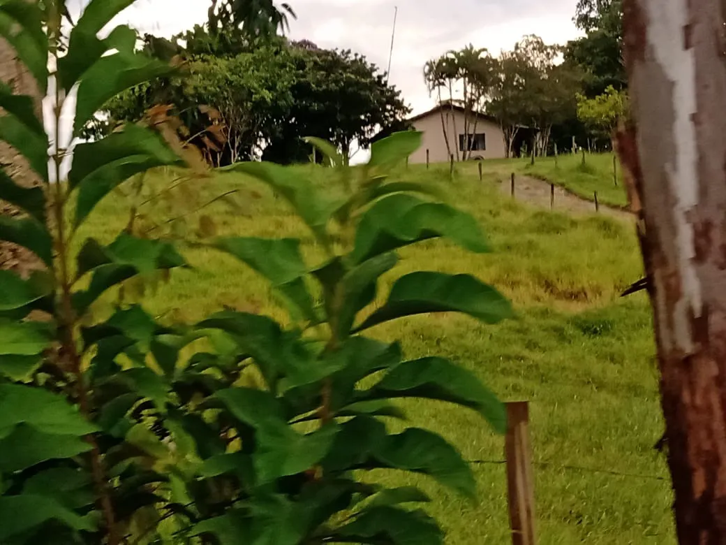 Sítio à venda de 61 ha em Capão Bonito, SP, Brasil