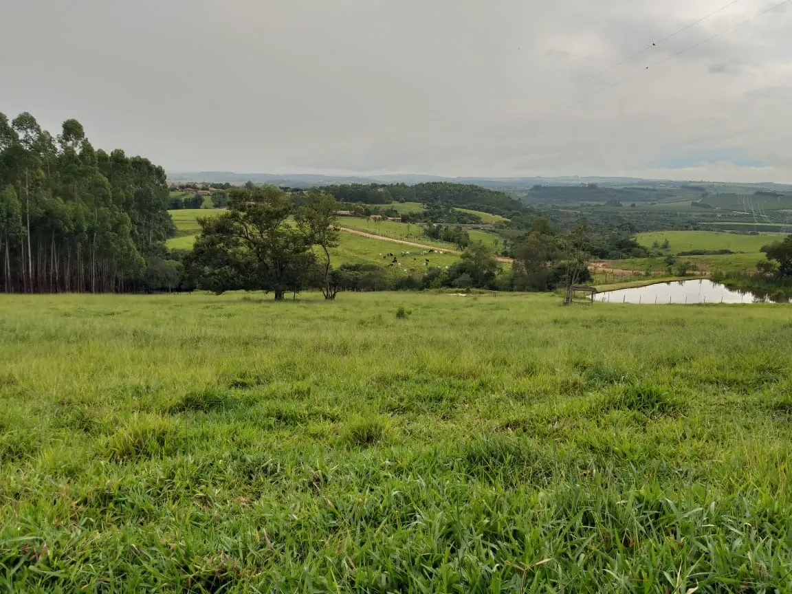 Sítio à venda de 61 ha em Capão Bonito, SP, Brasil