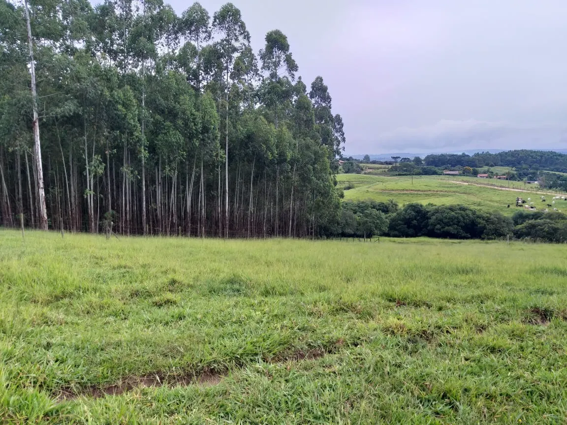 Sítio à venda de 61 ha em Capão Bonito, SP, Brasil
