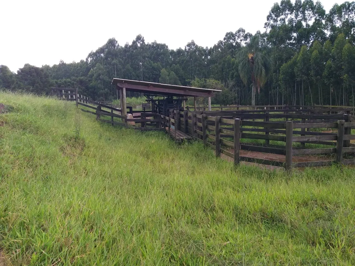 Sítio à venda de 61 ha em Capão Bonito, SP, Brasil