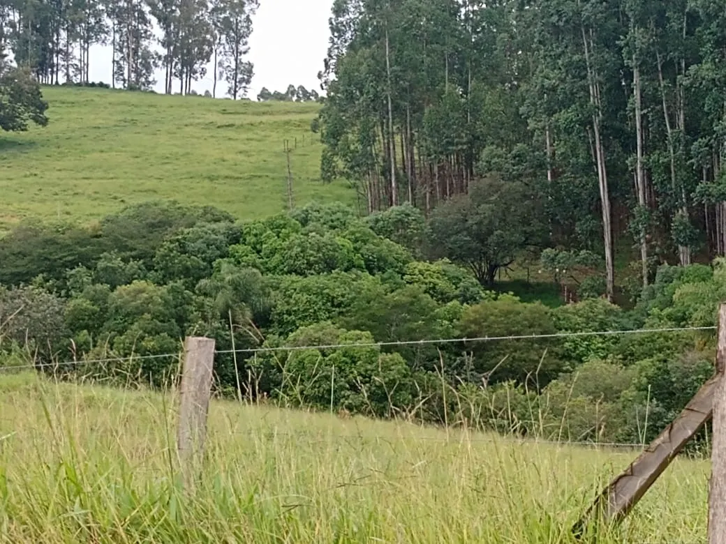 Sítio à venda de 61 ha em Capão Bonito, SP, Brasil