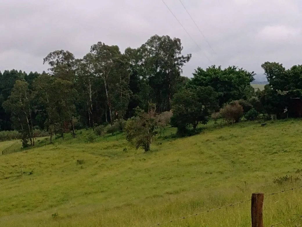 Sítio à venda de 61 ha em Capão Bonito, SP, Brasil