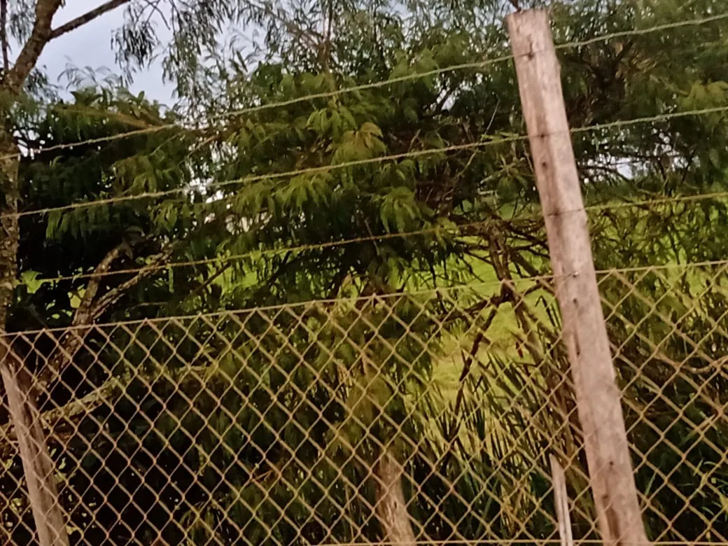 Sítio à venda de 61 ha em Capão Bonito, SP, Brasil