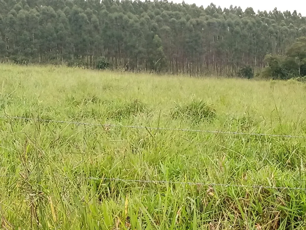 Sítio à venda de 61 ha em Capão Bonito, SP, Brasil