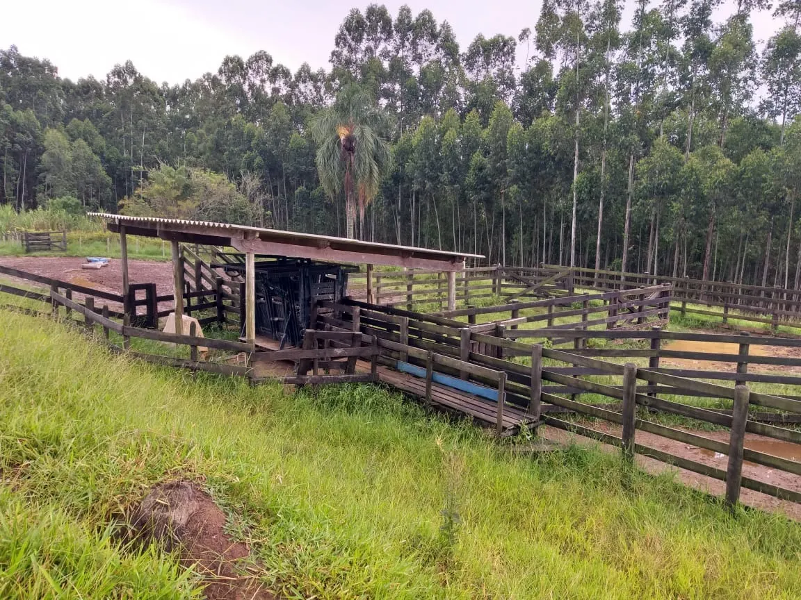 Sítio à venda de 61 ha em Capão Bonito, SP, Brasil