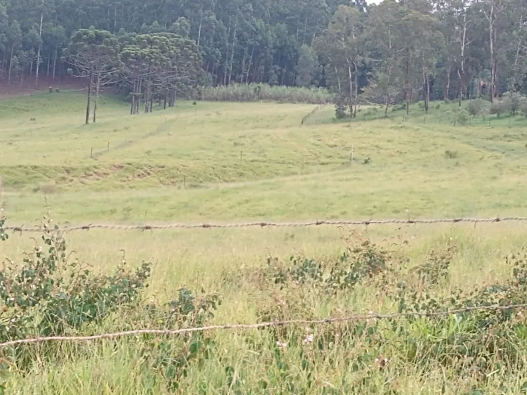 Sítio à venda de 61 ha em Capão Bonito, SP, Brasil