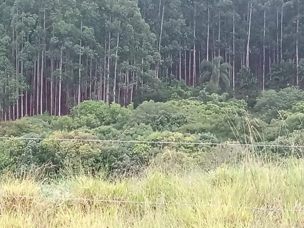 Sítio à venda de 61 ha em Capão Bonito, SP, Brasil