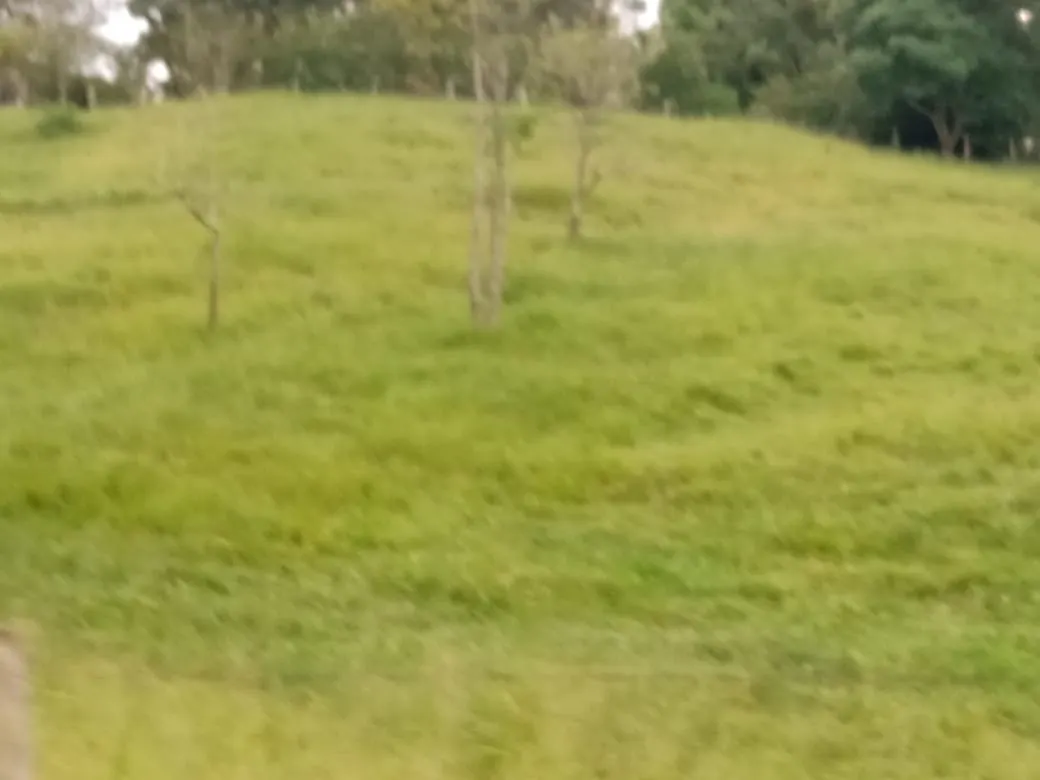 Sítio à venda de 61 ha em Capão Bonito, SP, Brasil