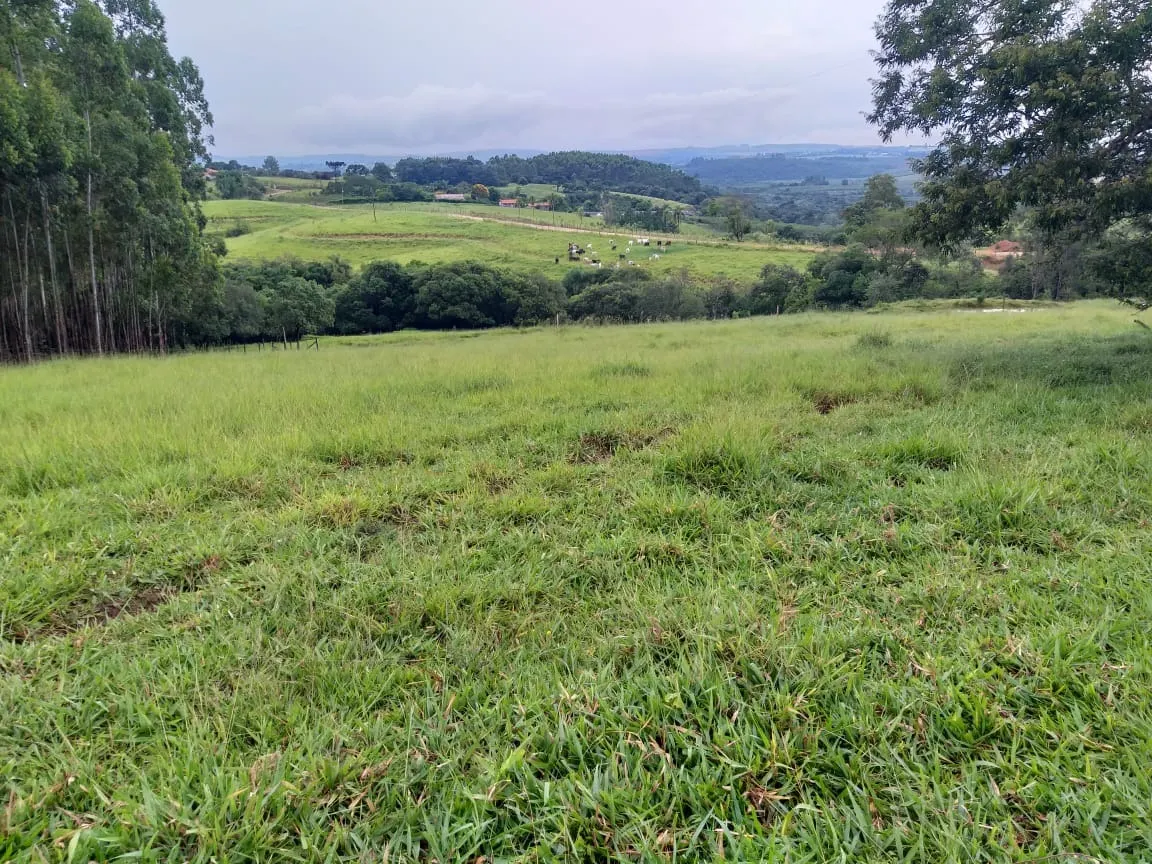 Sítio à venda de 61 ha em Capão Bonito, SP, Brasil