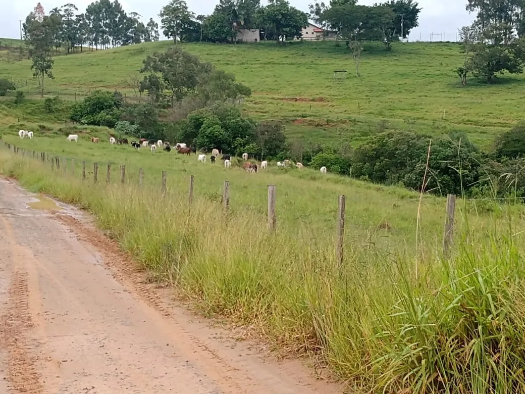 Sítio à venda de 61 ha em Capão Bonito, SP, Brasil