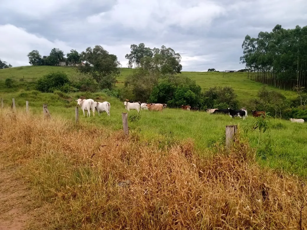 Sítio à venda de 61 ha em Capão Bonito, SP, Brasil