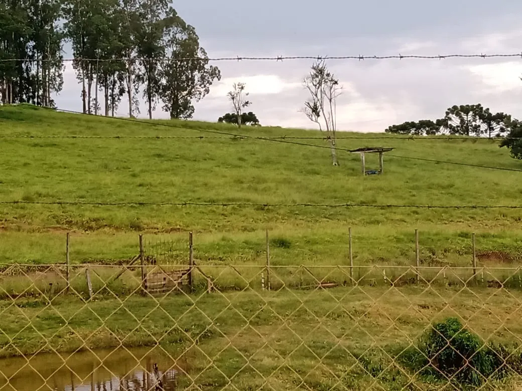 Sítio à venda de 61 ha em Capão Bonito, SP, Brasil