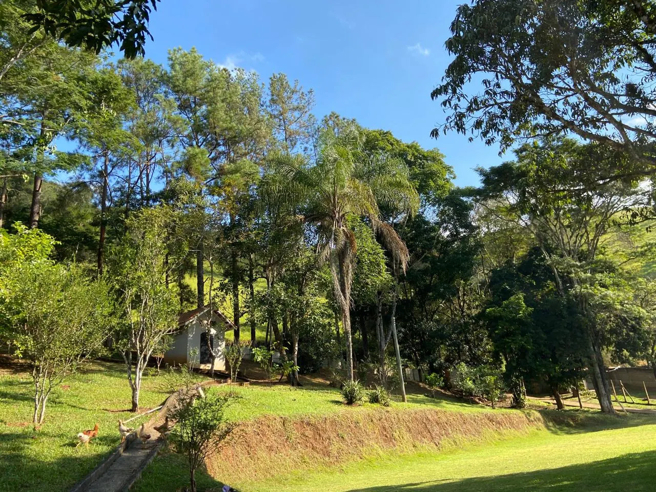 Country home for sale of 4 acres in Monteiro Lobato, SP, Brazil