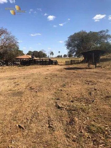 Fazenda à venda de 580 ha em Nobres, MT, Brasil