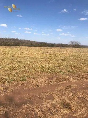 Fazenda à venda de 580 ha em Nobres, MT, Brasil