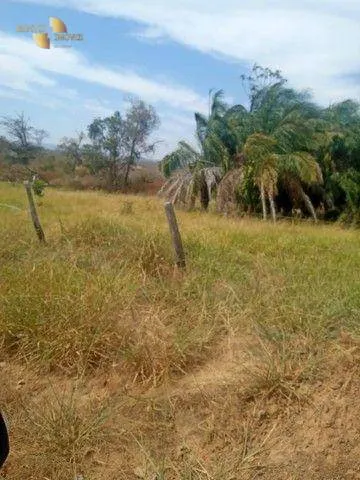 Fazenda à venda de 580 ha em Nobres, MT, Brasil