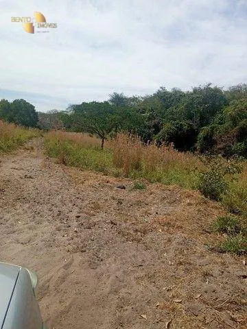 Fazenda à venda de 580 ha em Nobres, MT, Brasil