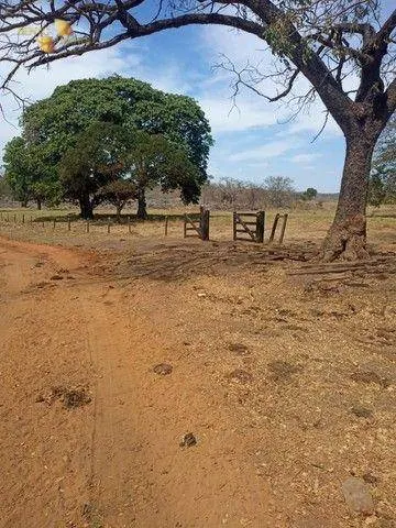 Fazenda à venda de 580 ha em Nobres, MT, Brasil